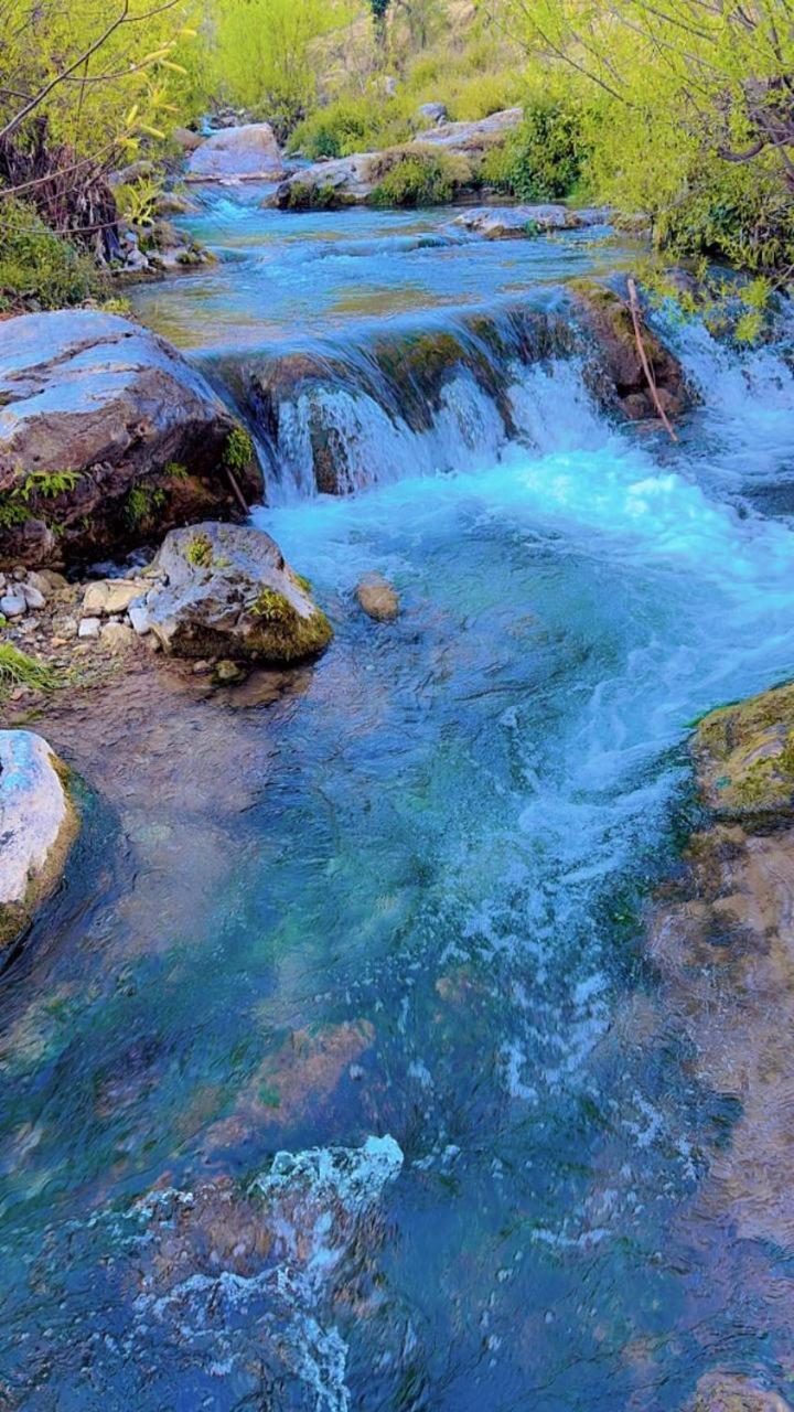 Rivulet Resort & Camping موسوري المظهر الخارجي الصورة