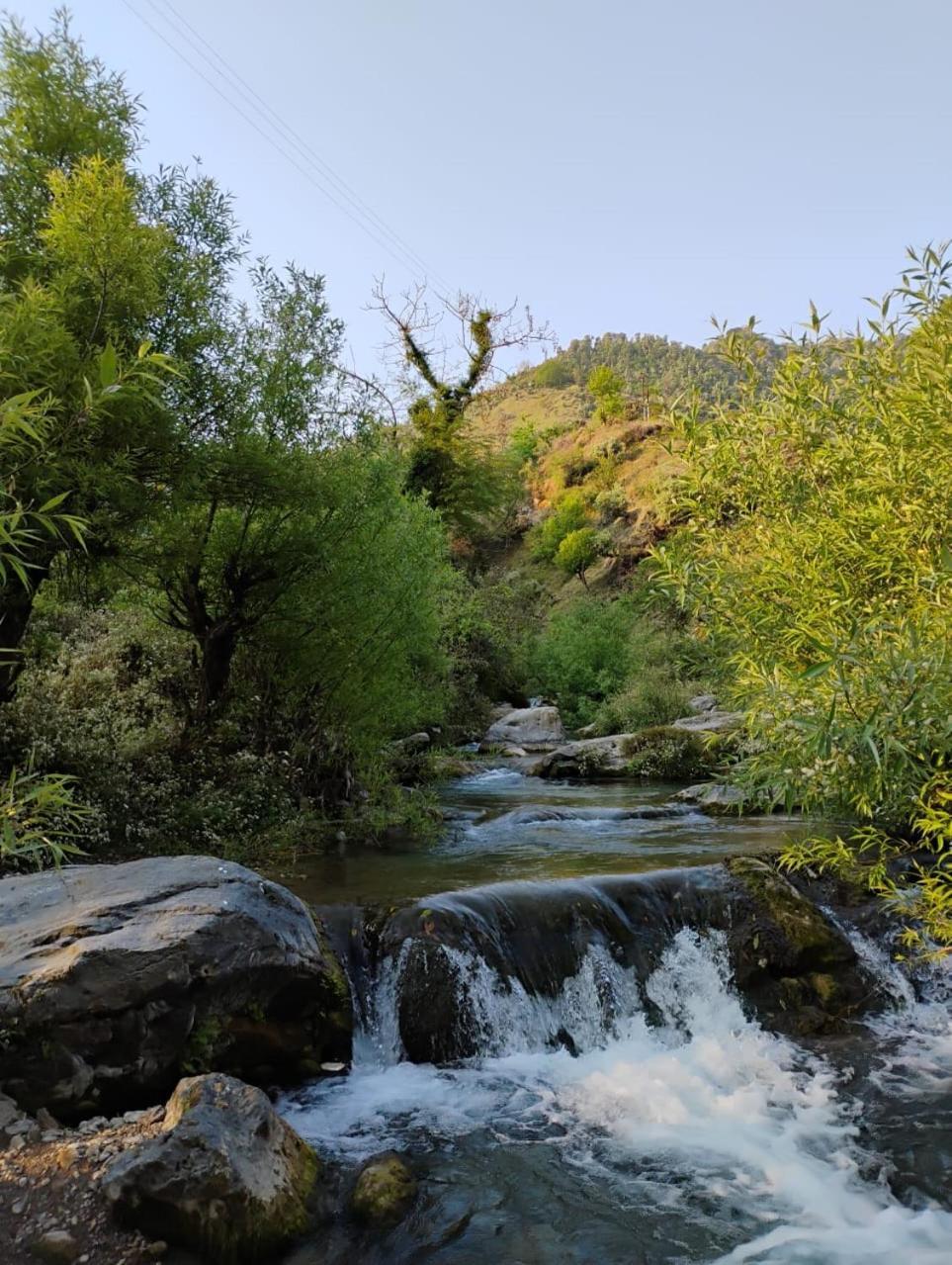 Rivulet Resort & Camping موسوري المظهر الخارجي الصورة