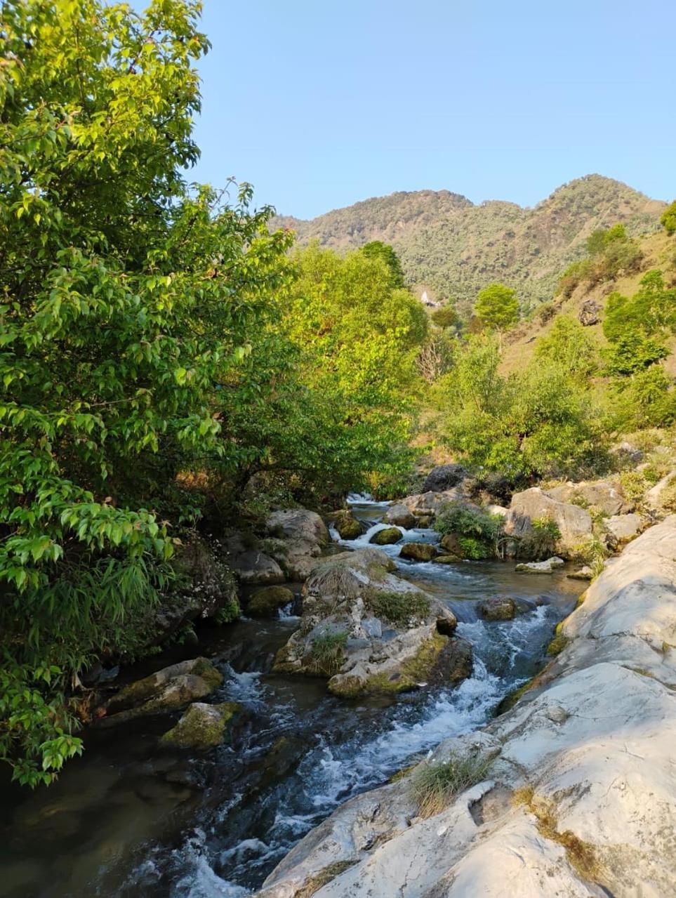 Rivulet Resort & Camping موسوري المظهر الخارجي الصورة
