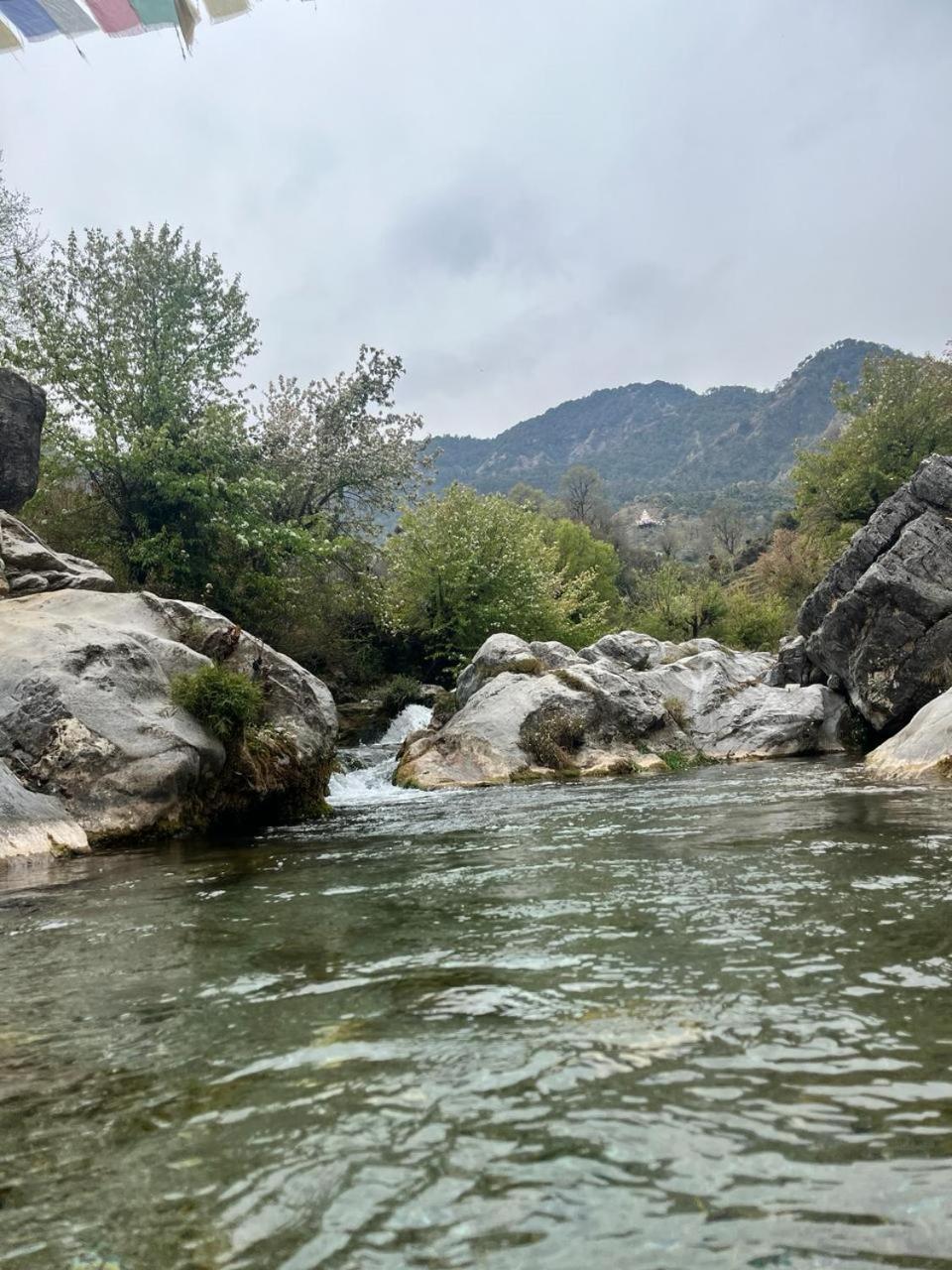 Rivulet Resort & Camping موسوري المظهر الخارجي الصورة